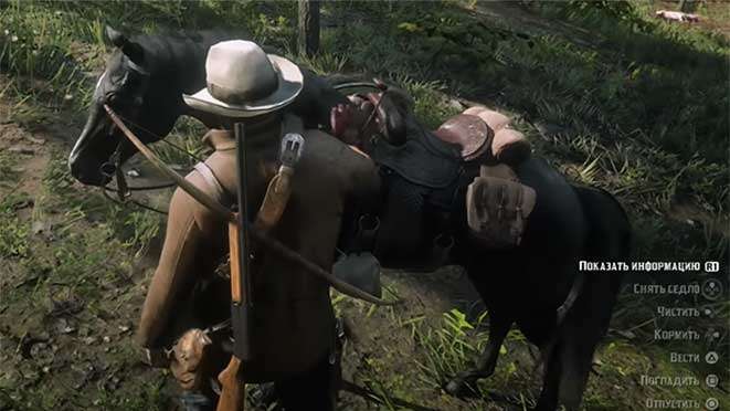 Cavalos selvagens em RDR 2: como capturar, como montar e domar um cavalo