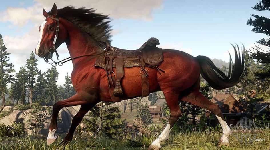 Red Dead Redemption 2 - Domando Cavalo Selvagem! 