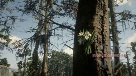 Lady of the night Orchid in RDR 2