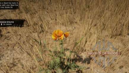 Prairie poppy in RDR 2