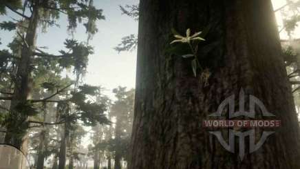 Acuna's Star Orchid in RDR 2