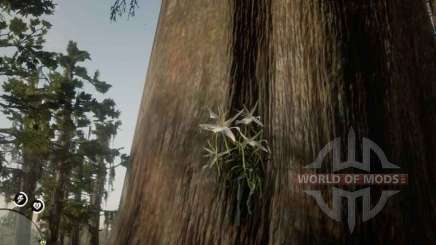 Ghost Orchid in RDR 2