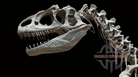 Onde encontrar todos os ossos de dinossauros em RDR 2? Mapa de todos os 30 locais