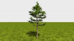 Forestry trees para Farming Simulator 2015
