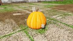 Pumpkin weight para Farming Simulator 2017