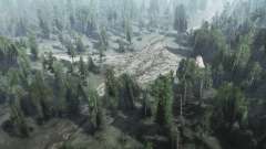 Birch grove para MudRunner