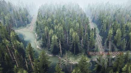 Floresta de pinheiros 2 v1.1 para MudRunner